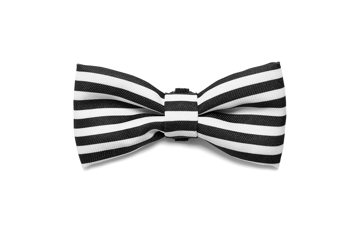 Asos | Dog Bow Tie