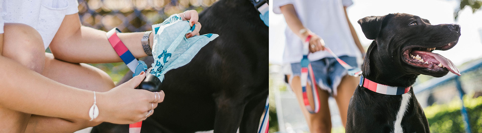 Smug pets poop bags cheap