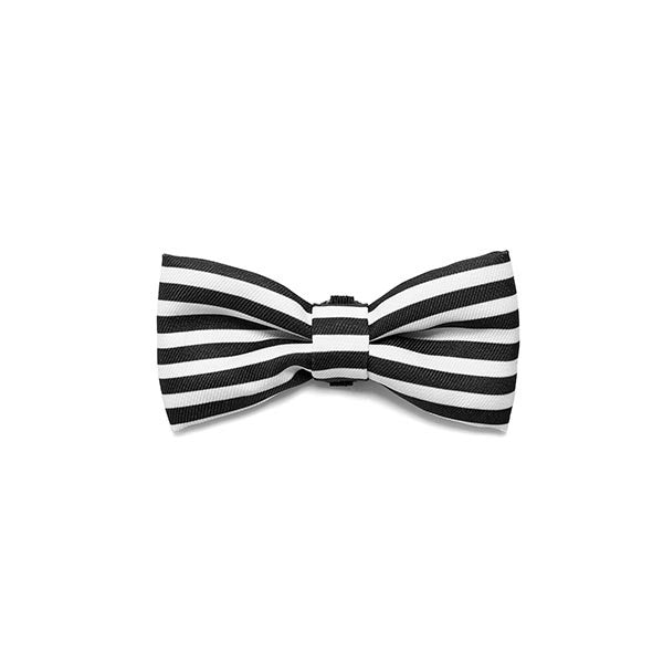 Asos | Dog Bow Tie