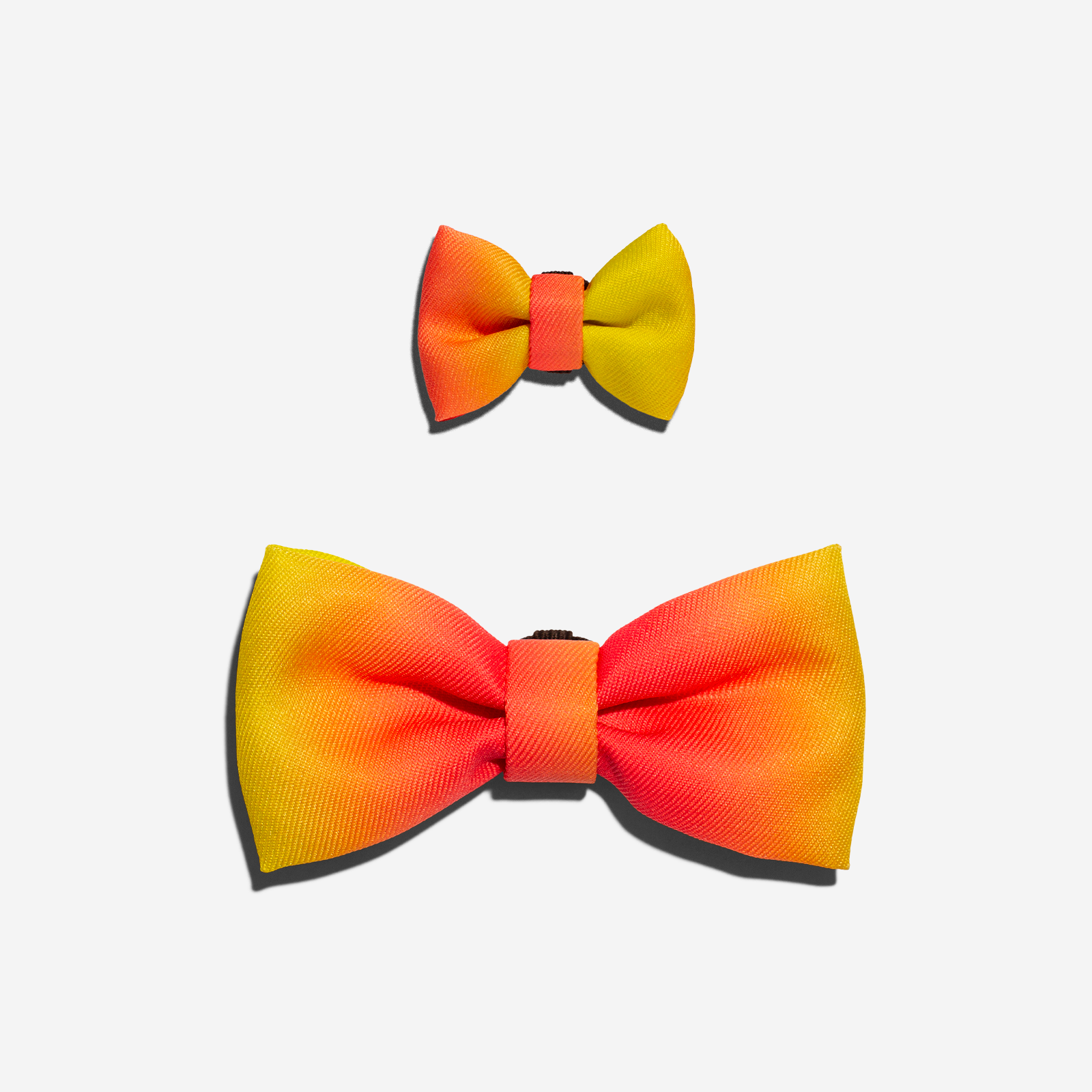 Citrus | Dog Bow Tie