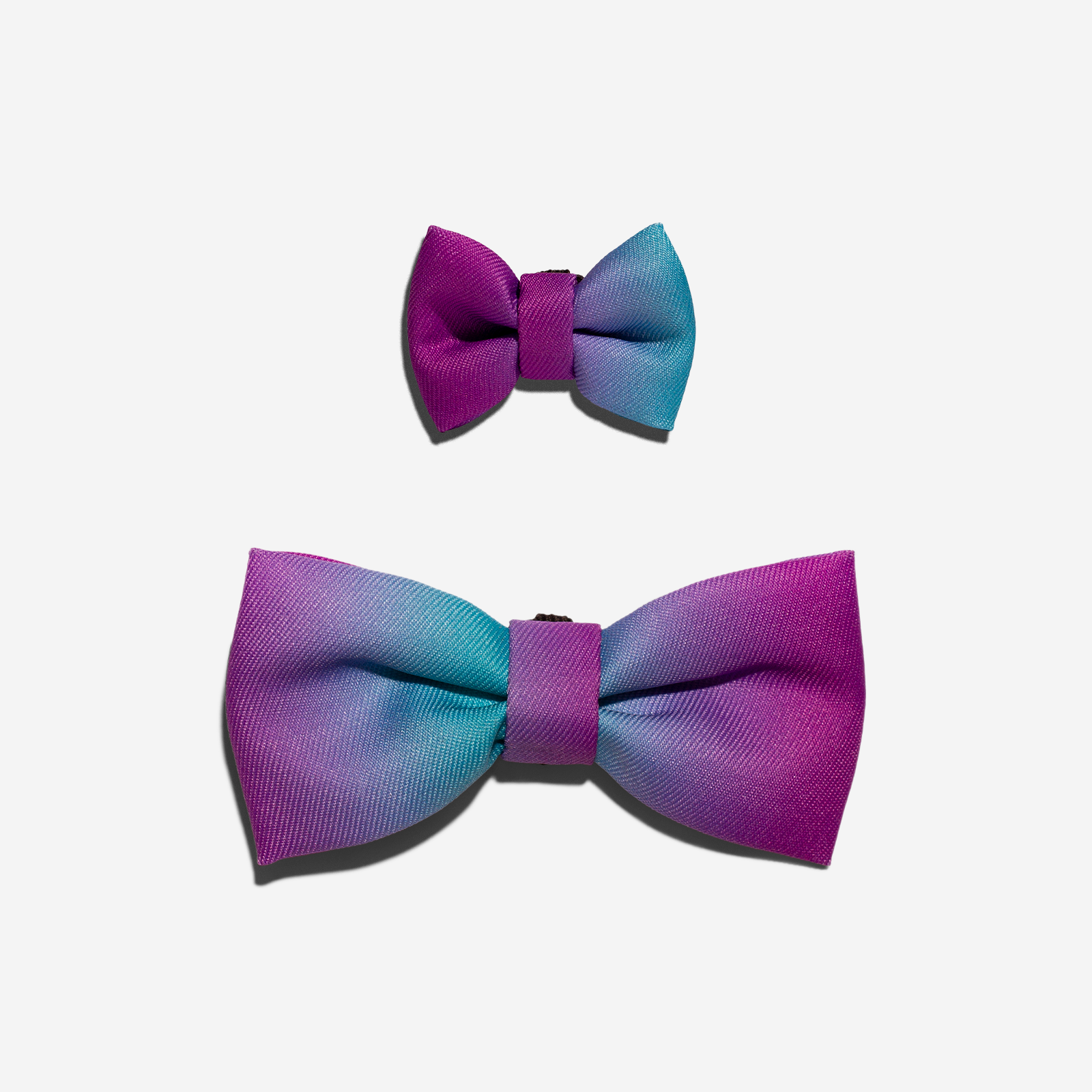 Wave | Dog  Bow Tie