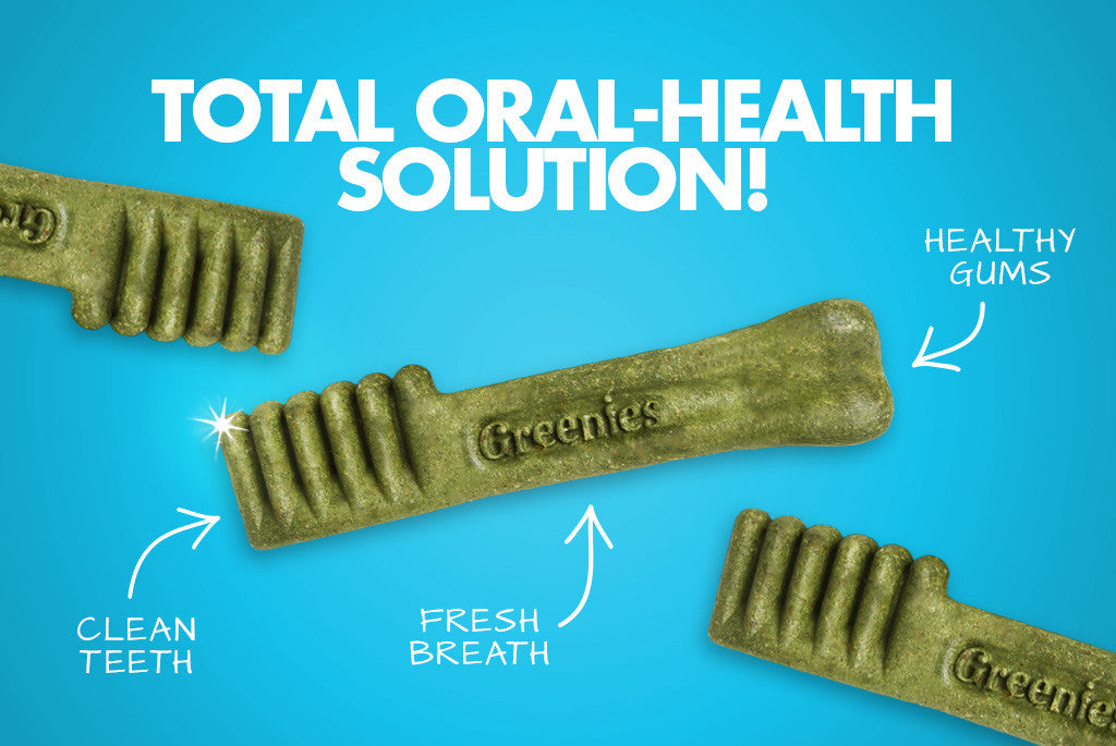 Greenies Dog Treat - Total oral-health feature | Zee.Dog