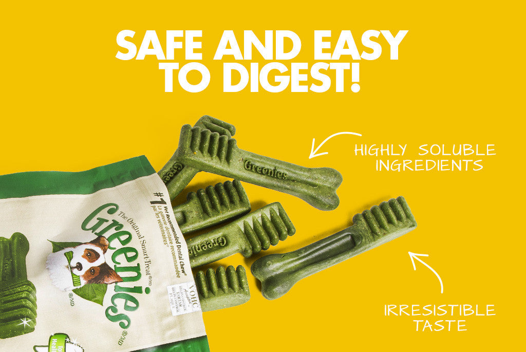 Greenies Dog Treat - Safe and easy feature | Zee.Dog