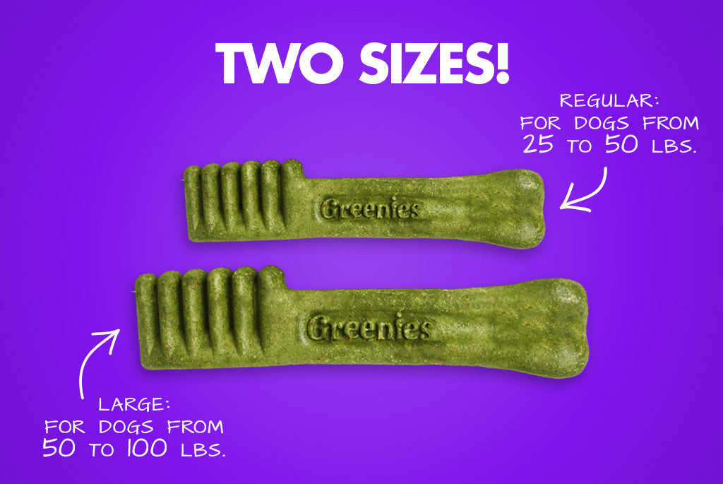 Greenies Dog Treat - Two Sizes feature | Zee.Dog