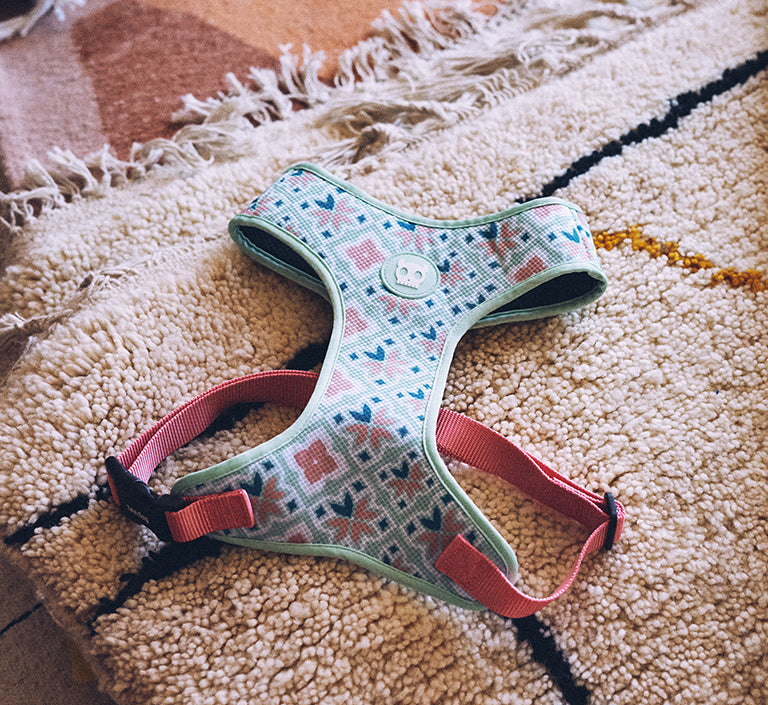 Marcuch | Dog Bow Tie