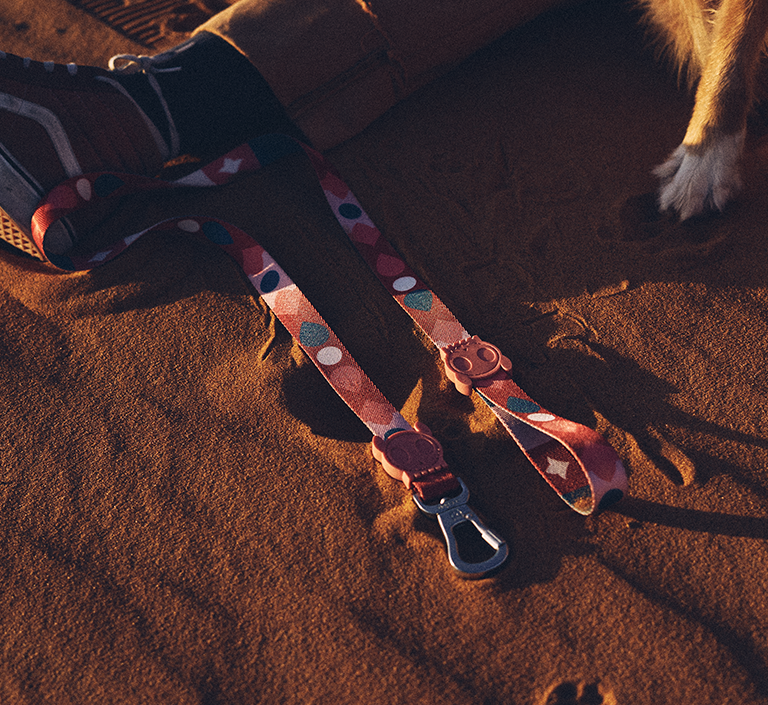 Samé | Dog Bow Tie