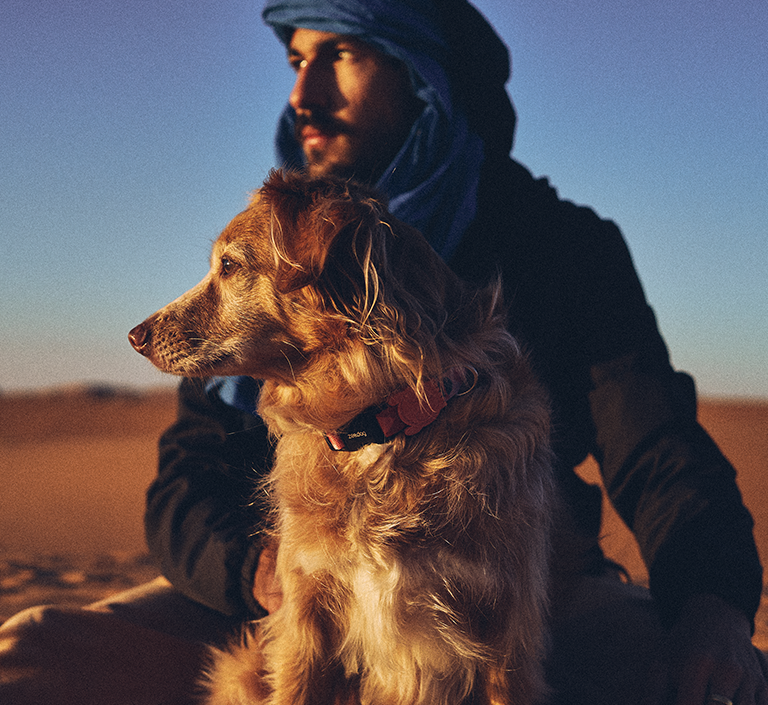 Samé | Dog Bow Tie