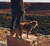 Yansun | Dog Bow Tie
