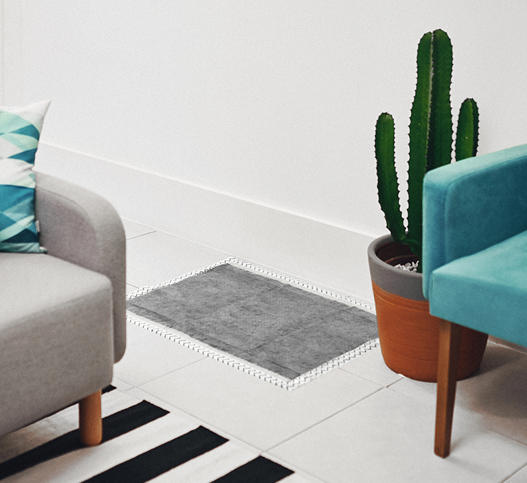 Zee dog hotsell pee pad