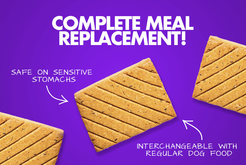 Turbopup - Complete meal feature - Dog Power Bar | Zee.Dog