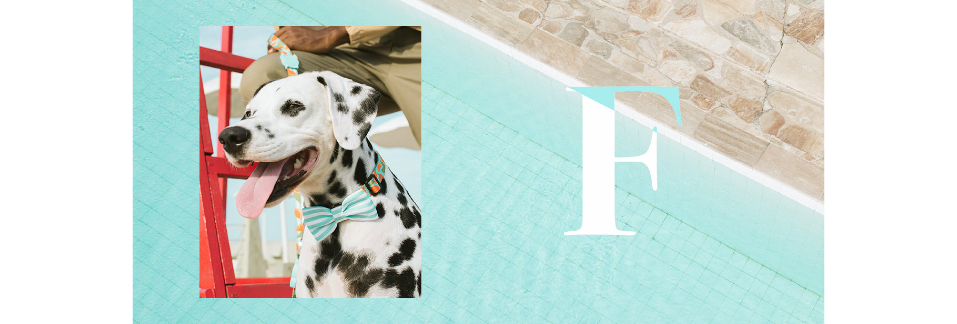 Florida | Dog Bow Tie