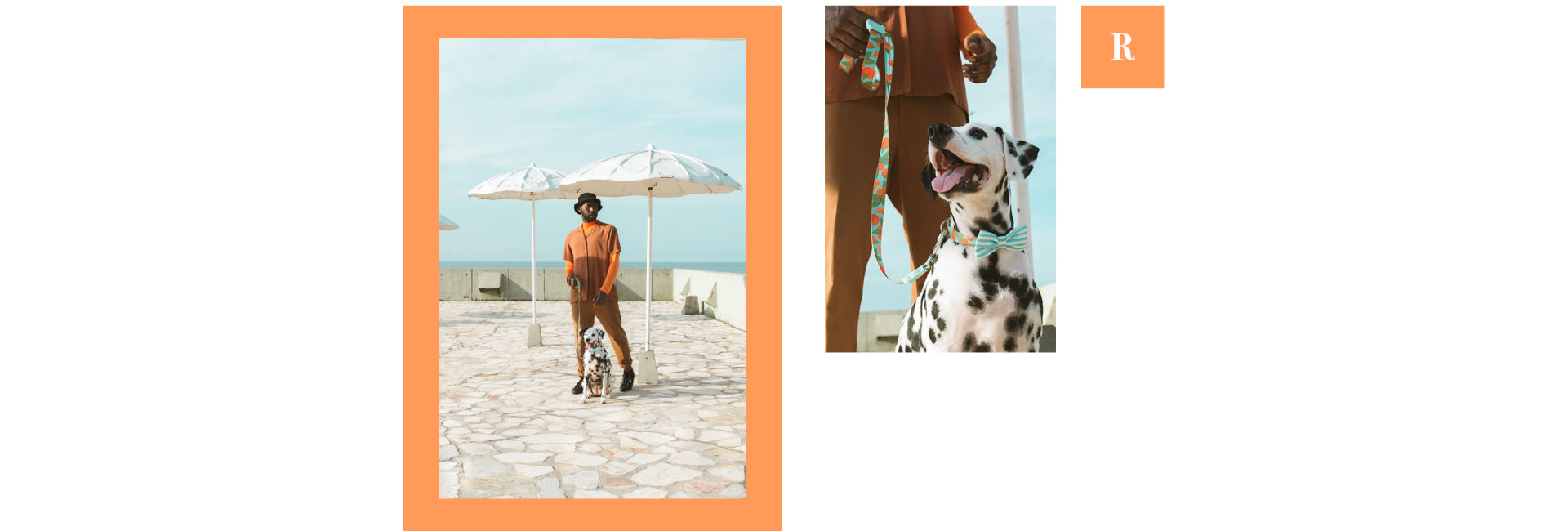Florida | Dog Bow Tie