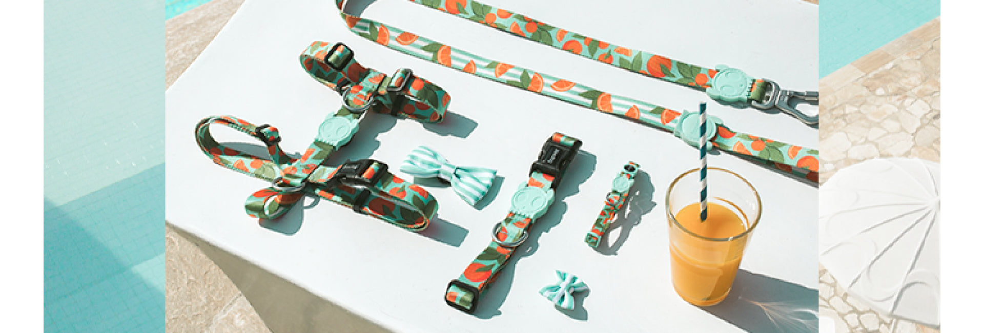 Florida | Dog Bow Tie