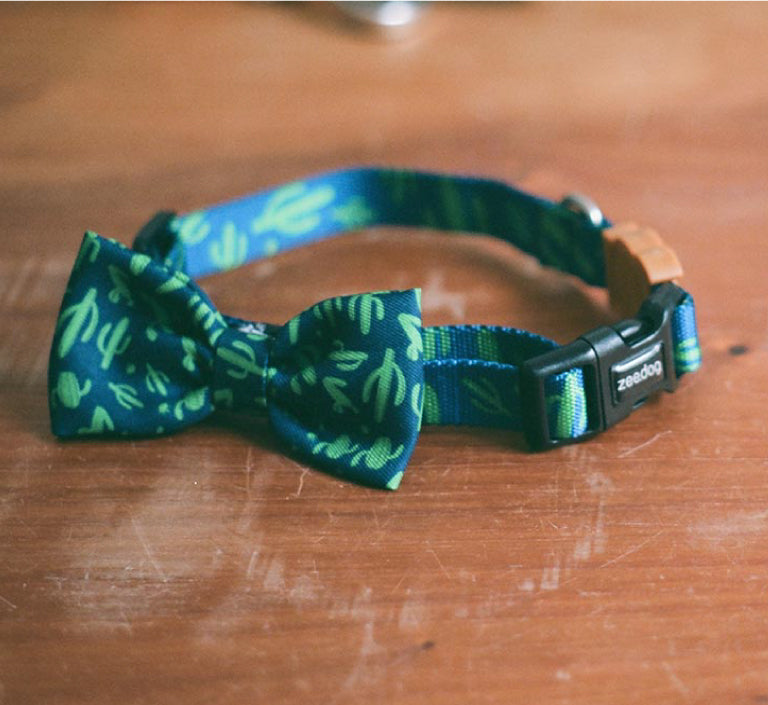 Guacamole | Dog Bow Tie