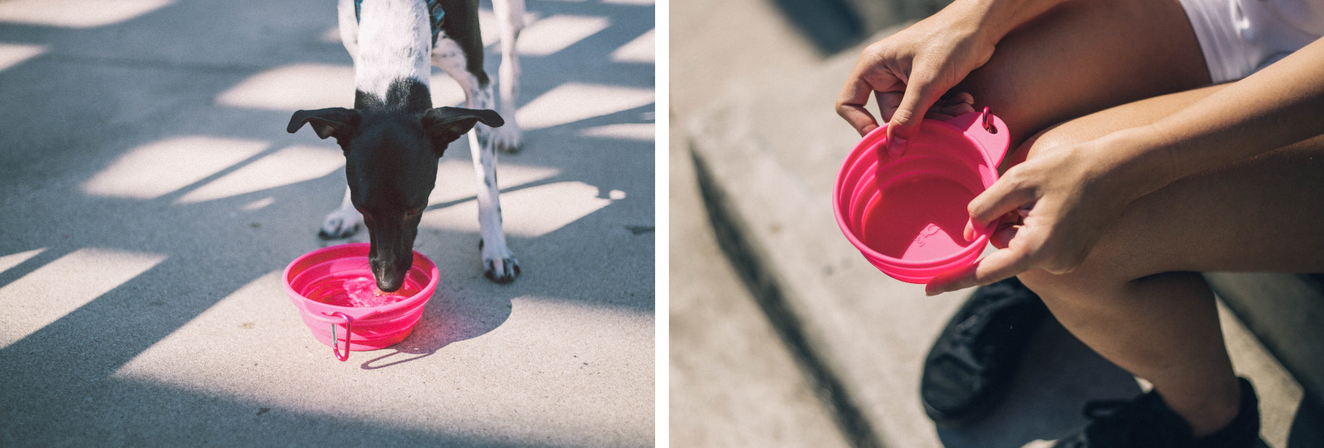 Pink | Go Bowl