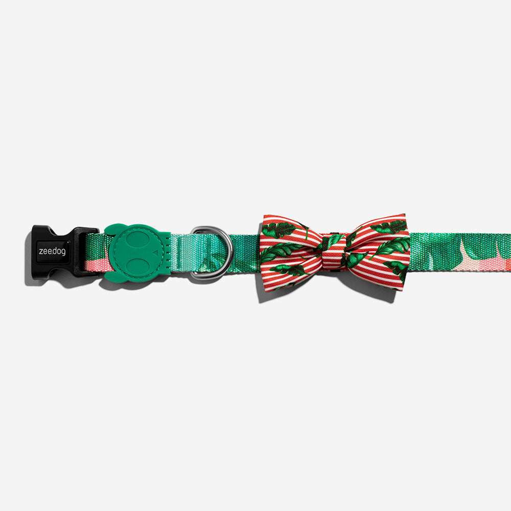 Bali Dog Bow Tie Zee.Dog