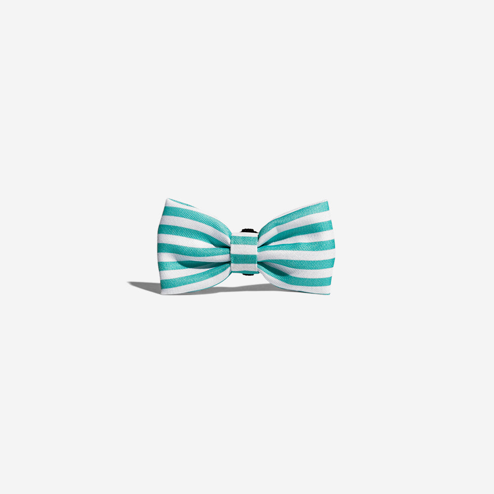 Florida | Dog Bow Tie