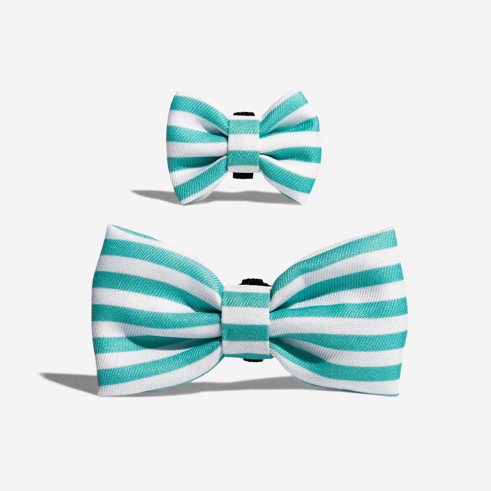 Florida | Dog Bow Tie