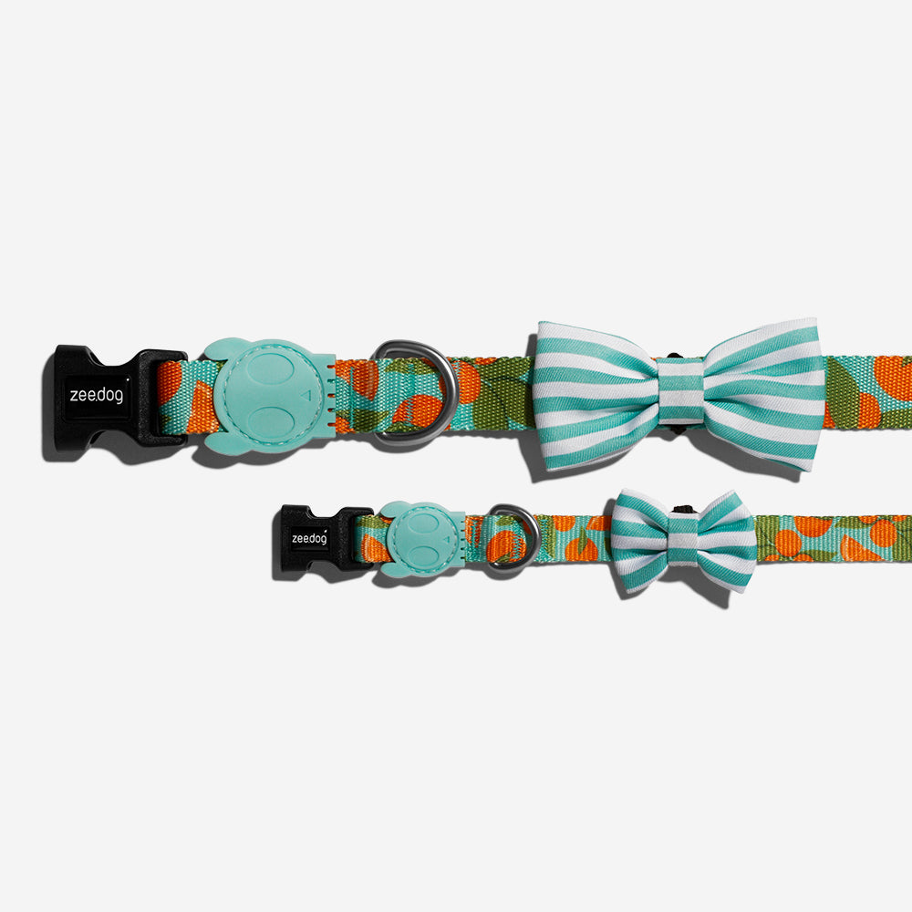 Florida | Dog Bow Tie