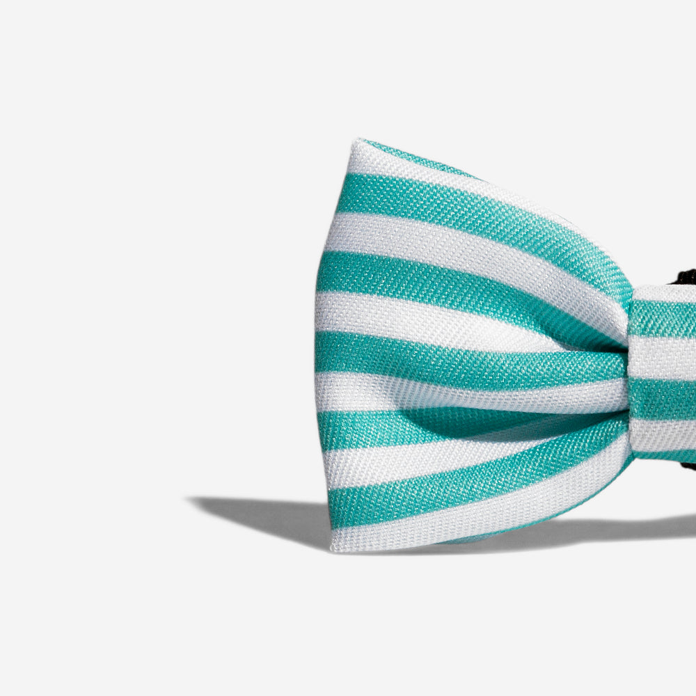 Florida | Dog Bow Tie