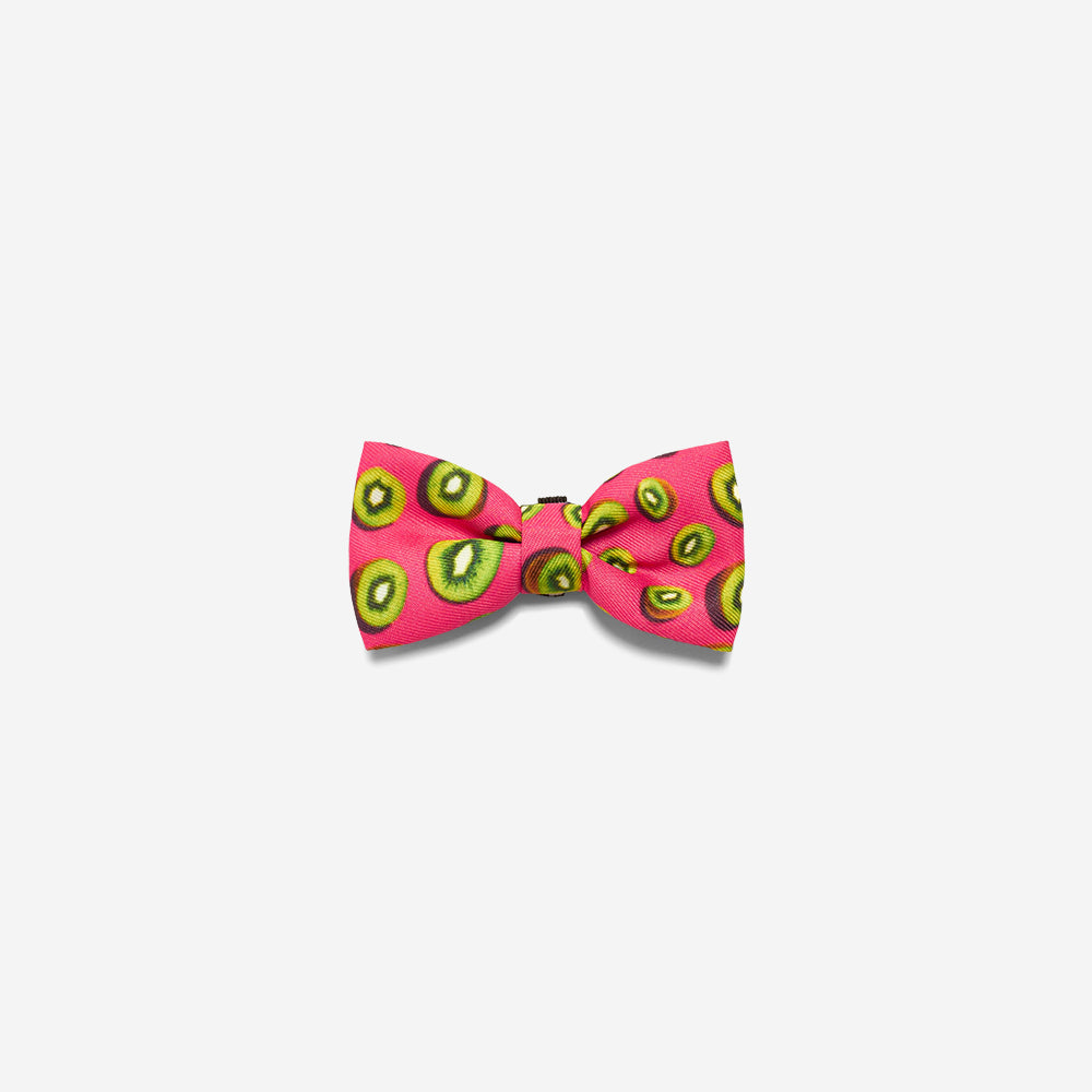 Juice | Dog Bow Tie