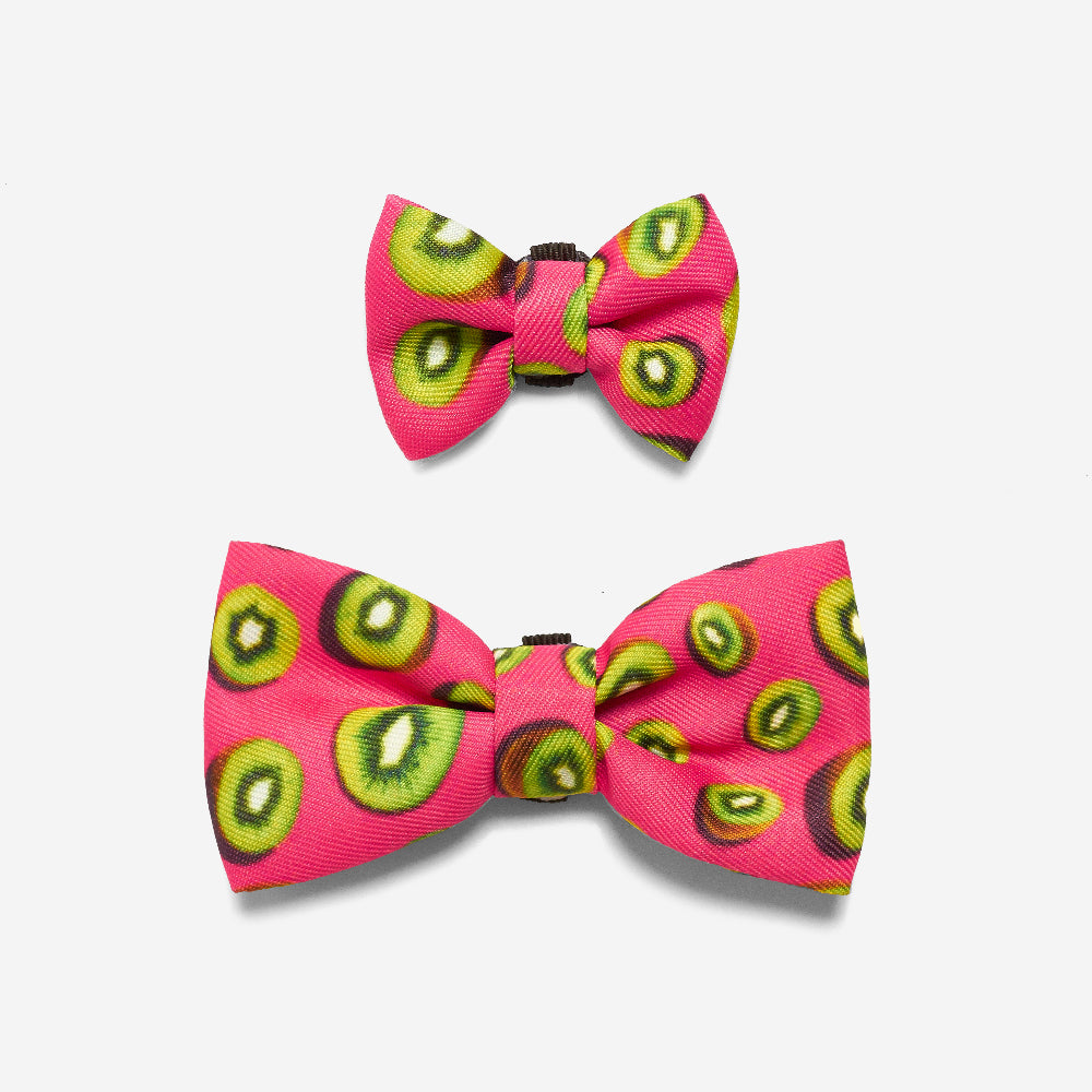 Juice | Dog Bow Tie