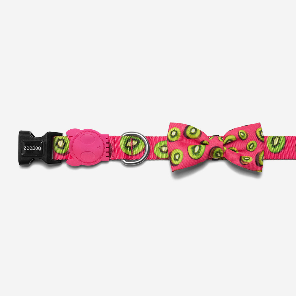 Juice | Dog Bow Tie