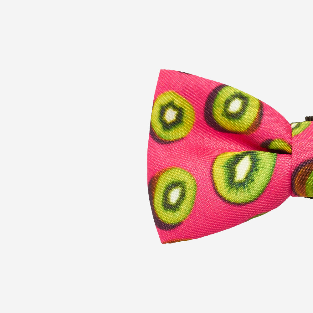 Juice | Dog Bow Tie