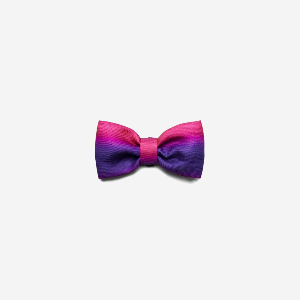 Juno | Dog Bow Tie