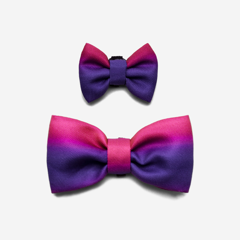 Juno | Dog Bow Tie