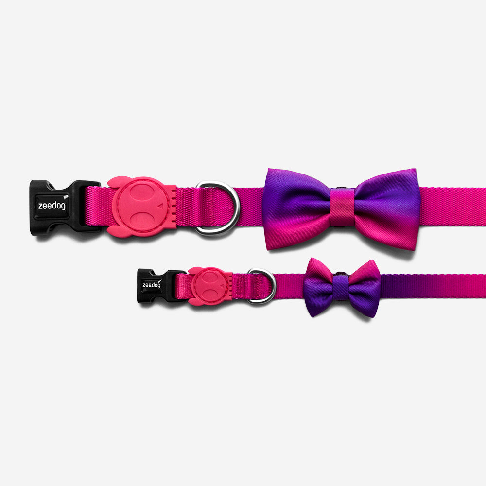 Juno | Dog Bow Tie