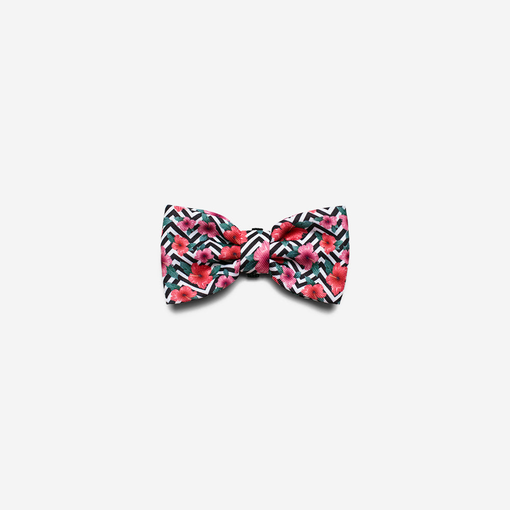 Mahalo | Dog Bow Tie
