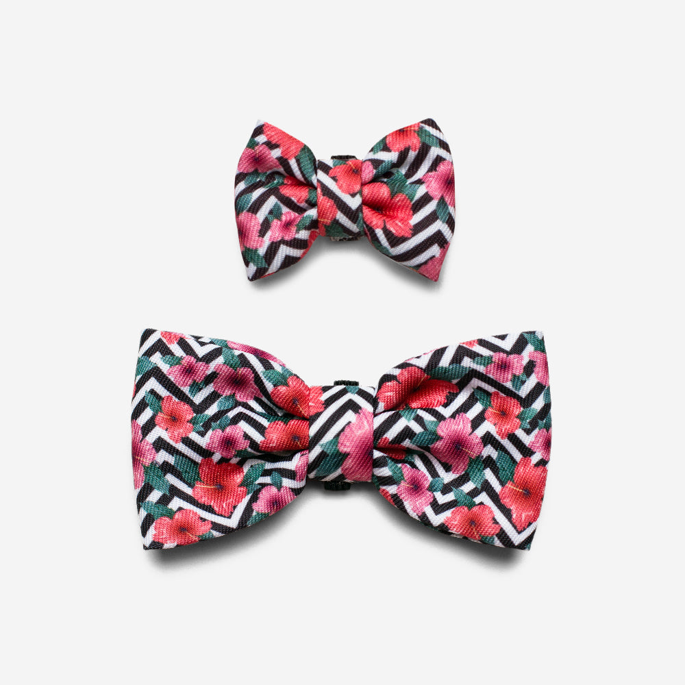 Mahalo | Dog Bow Tie