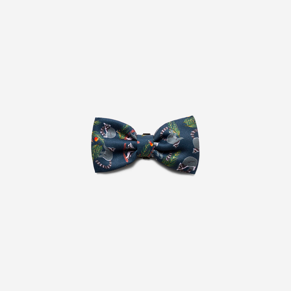 Mango | Dog Bow Tie