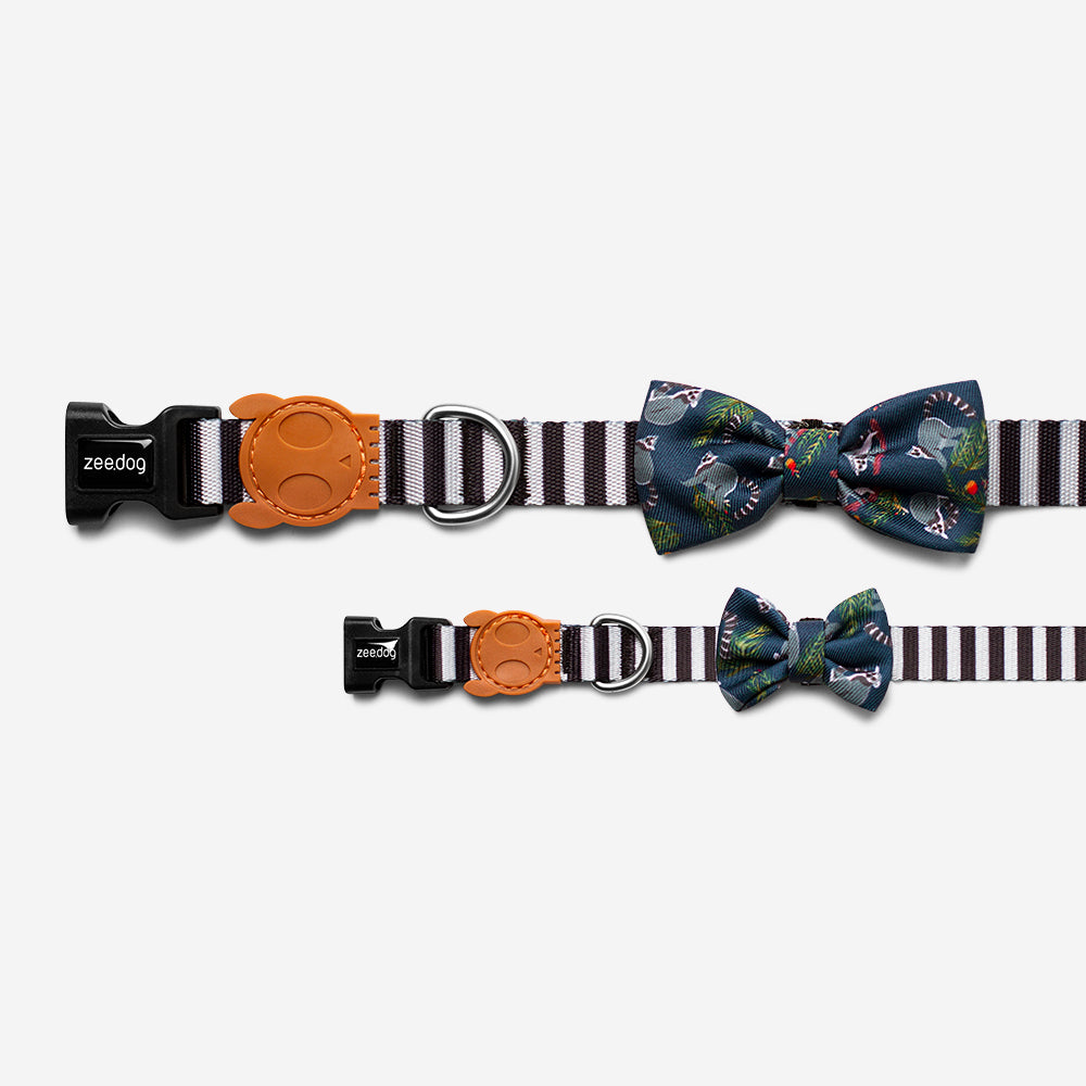 Mango | Dog Bow Tie