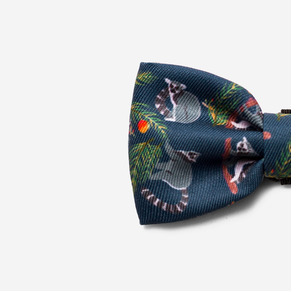 Mango | Dog Bow Tie