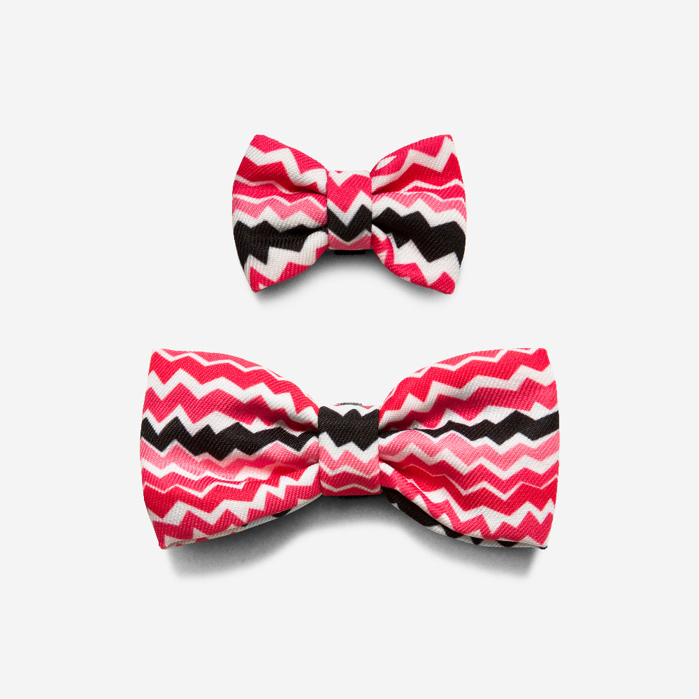 Maui | Dog Bow Tie