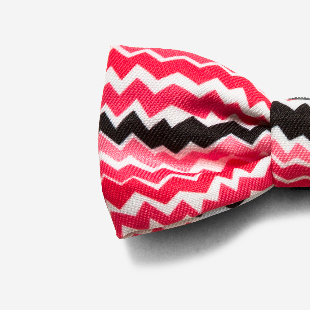Maui | Dog Bow Tie