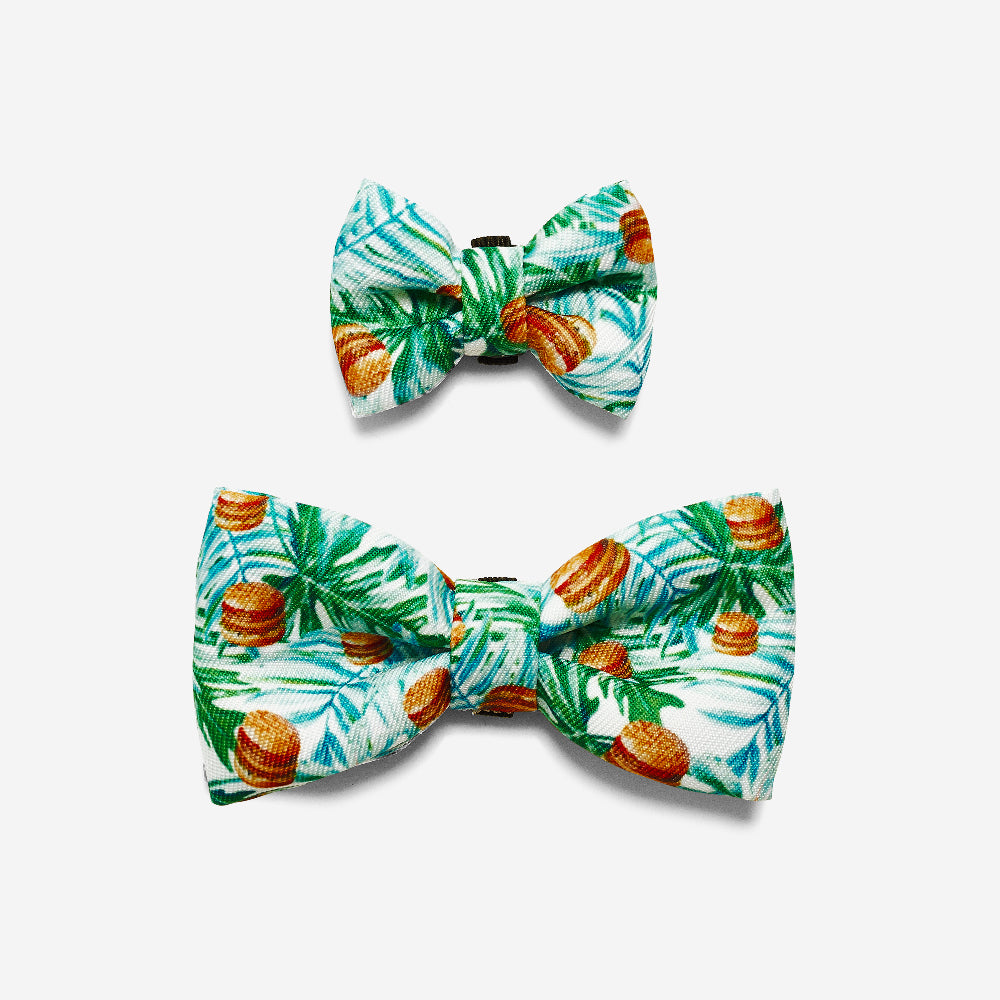 McZee | Dog Bow Tie