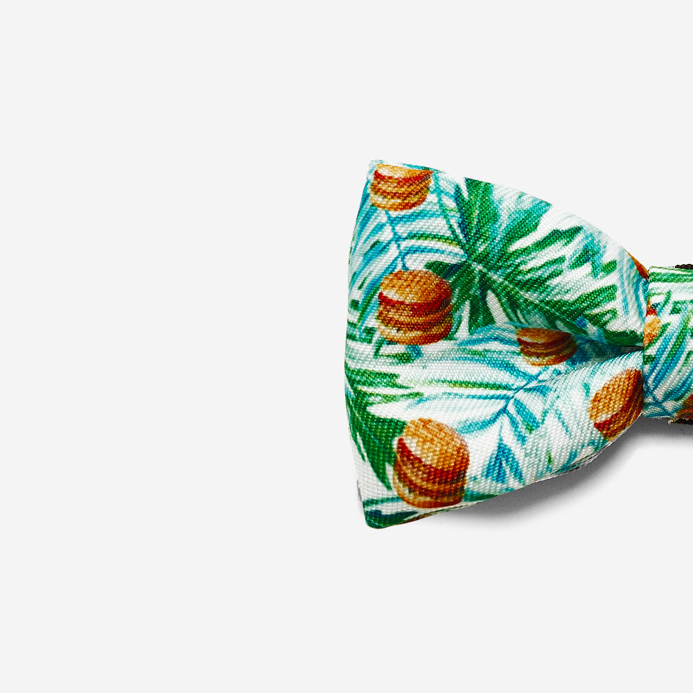 McZee | Dog Bow Tie