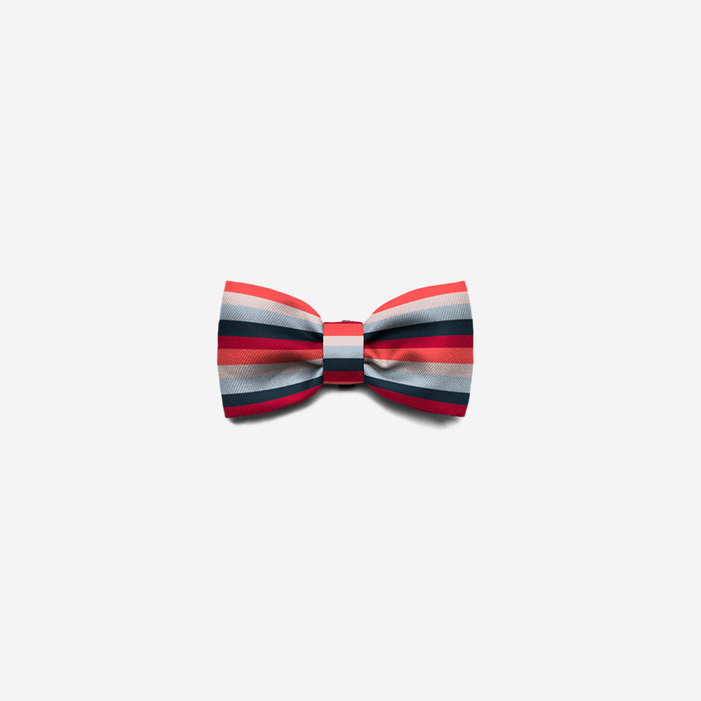 Oregon | Dog Bow Tie