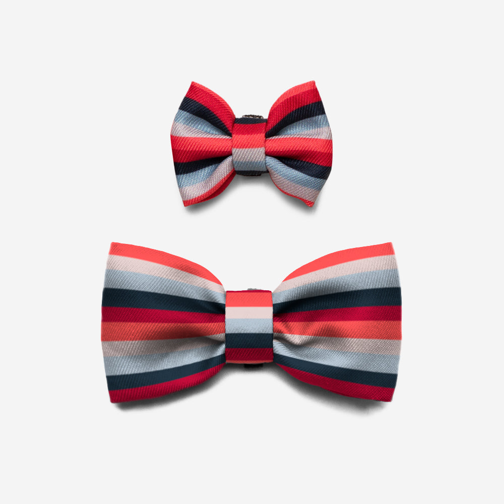 Oregon | Dog Bow Tie