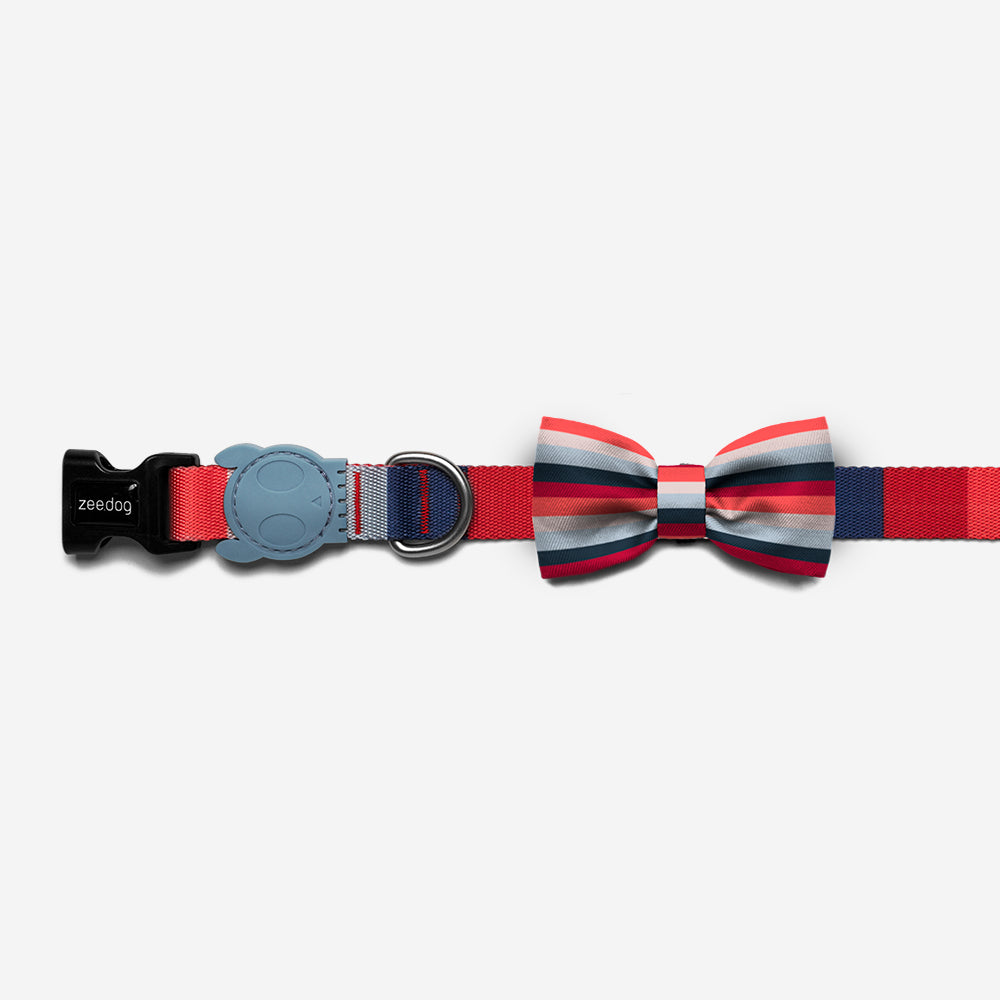 Oregon | Dog Bow Tie