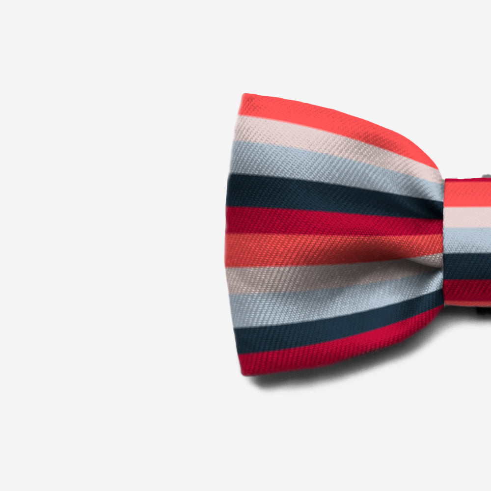 Oregon | Dog Bow Tie