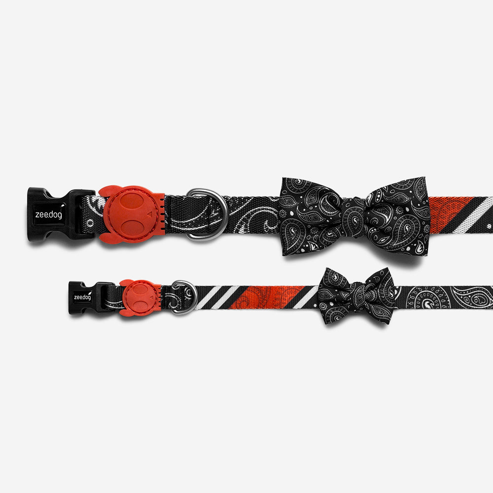 Paisley | Dog Bow Tie