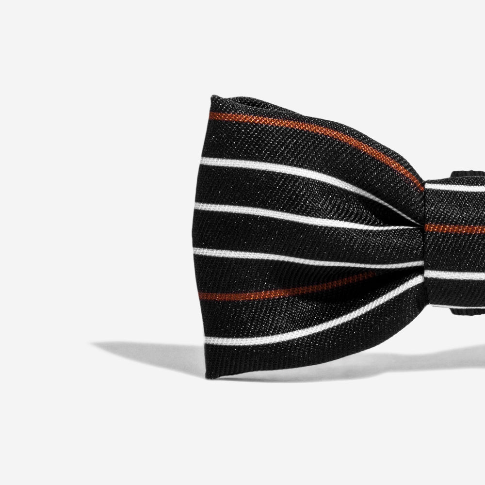Zee dog bow tie hotsell
