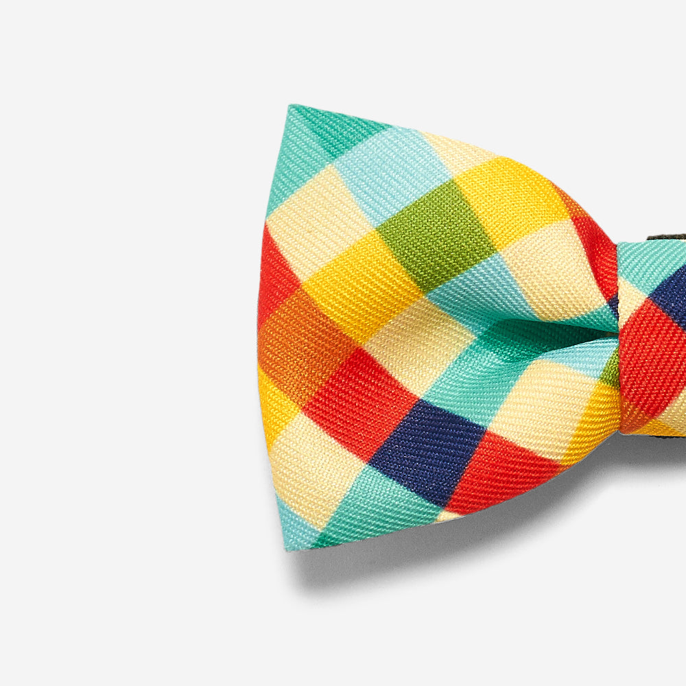 Phantom | Dog Bow Tie