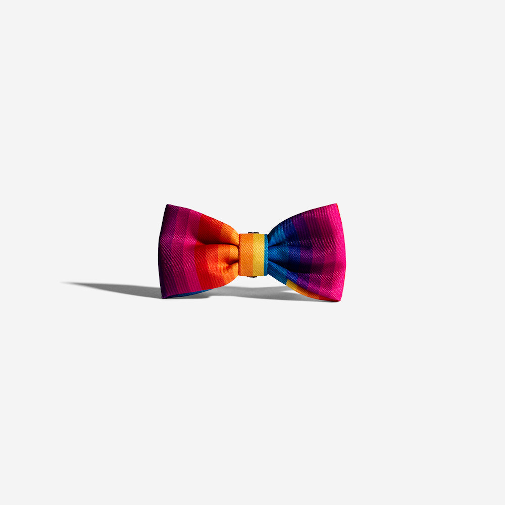Prisma | Dog Bow Tie
