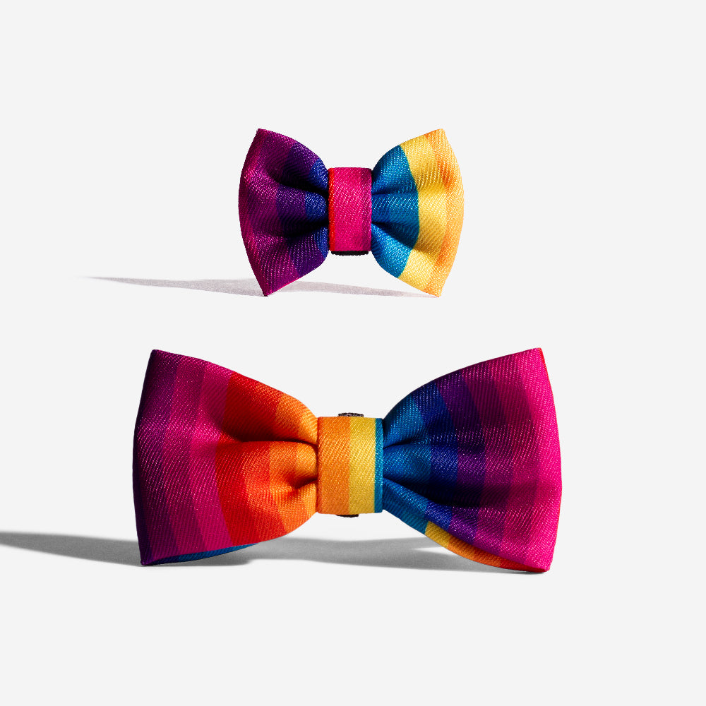 Prisma | Dog Bow Tie