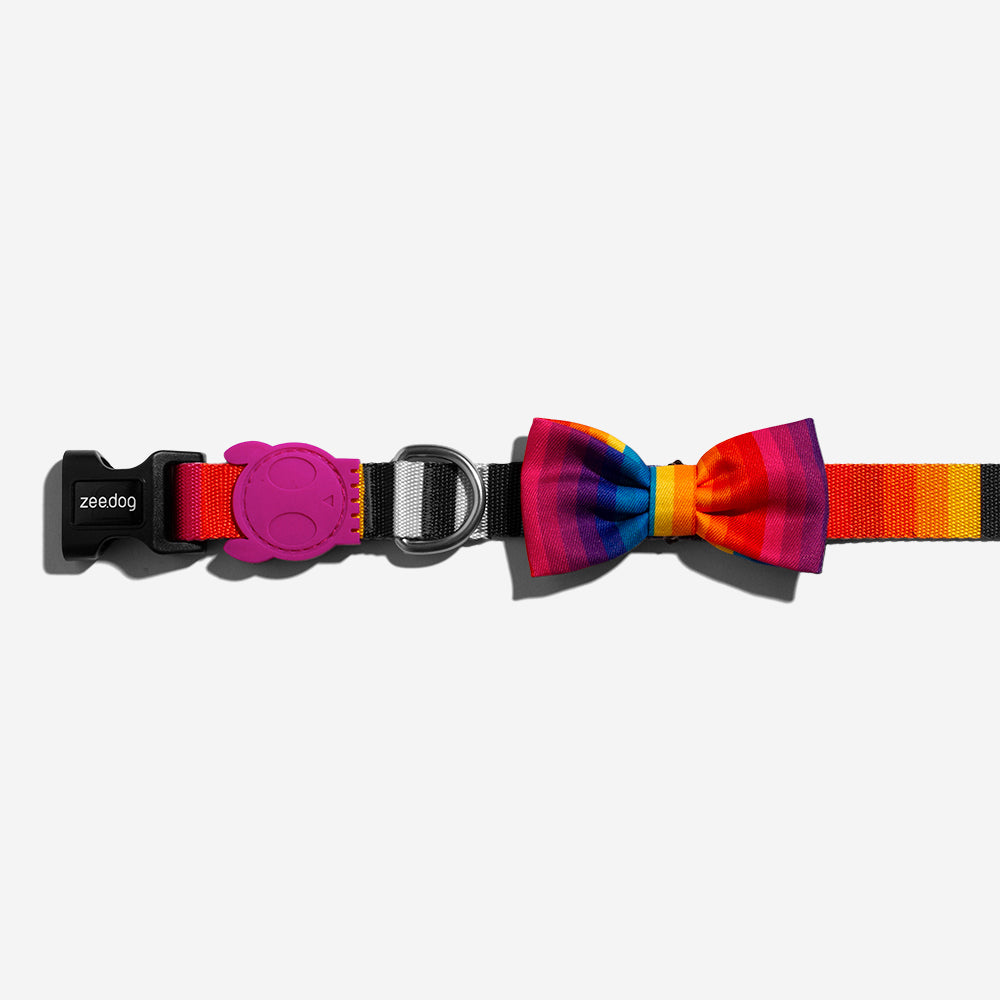 Prisma | Dog Bow Tie